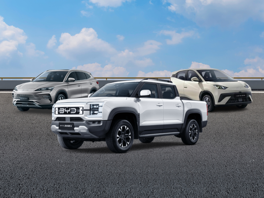 byd-karmo_5050-block_no-copy.png